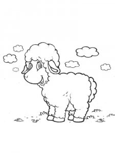 Sheep coloring page - picture 1