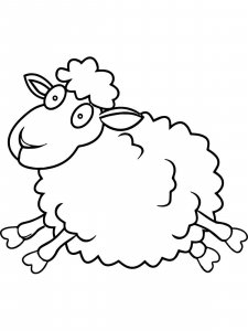 Sheep coloring page - picture 14