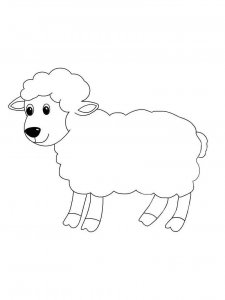 Sheep coloring page - picture 16