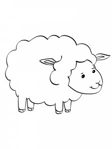 Sheep coloring page - picture 18