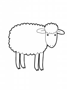 Sheep coloring page - picture 22