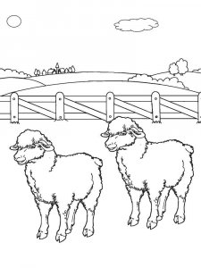 Sheep coloring page - picture 25