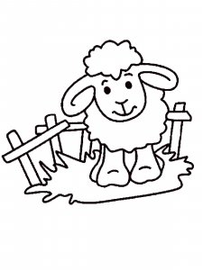Sheep coloring page - picture 27