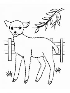 Sheep coloring page - picture 30