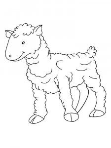 Sheep coloring page - picture 32
