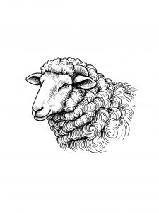 Sheep Coloring Pages 35
