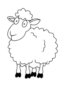 Sheep coloring page - picture 4