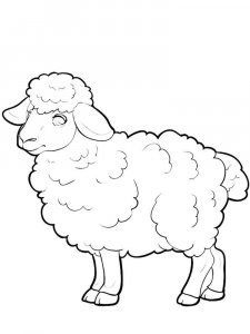 Sheep coloring page - picture 5