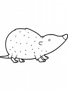 Shrew coloring page - picture 13