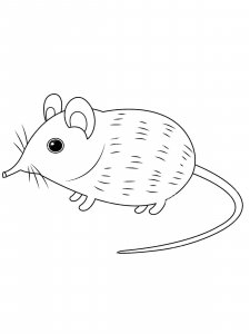 Shrew coloring page - picture 6
