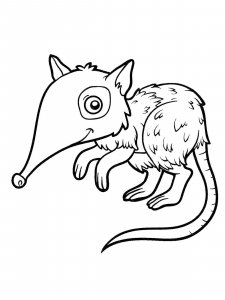 Shrew coloring page - picture 8