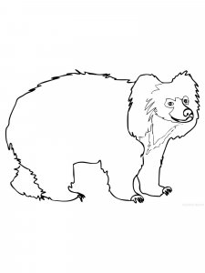Sloth Bear coloring page - picture 1