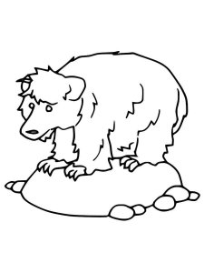 Sloth Bear coloring page - picture 4