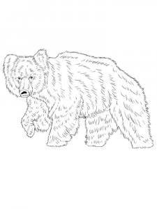 Sloth Bear coloring page - picture 5