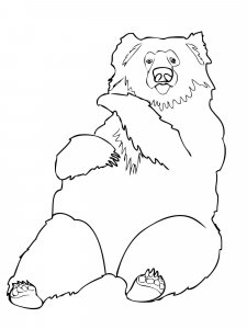 Sloth Bear coloring page - picture 6