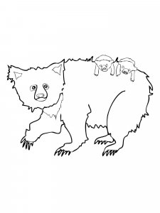 Sloth Bear coloring page - picture 7