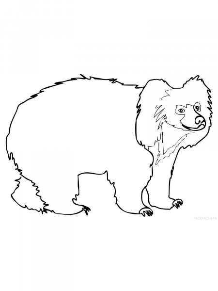 Sloth Bear coloring pages