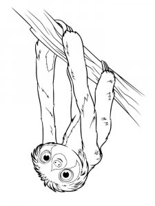 Sloth coloring page - picture 10