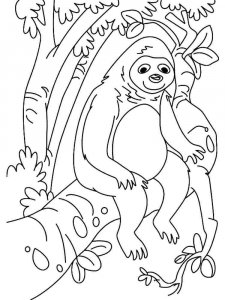 Sloth coloring page - picture 11