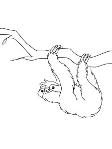 Sloth coloring page - picture 12