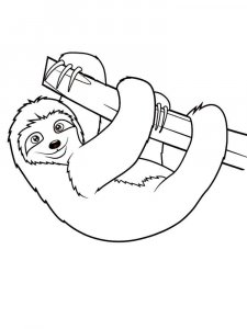 Sloth coloring page - picture 15
