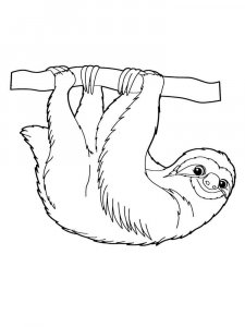 Sloth coloring page - picture 17