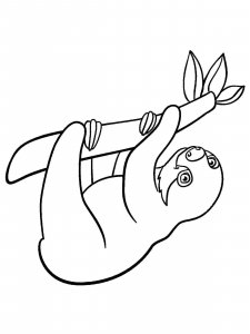 Sloth coloring page - picture 2