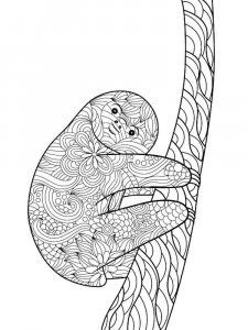 Sloth coloring page - picture 21
