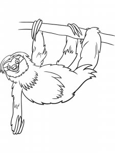 Sloth coloring page - picture 24