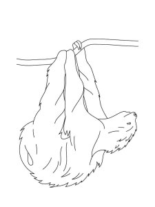 Sloth coloring page - picture 25