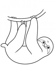 Sloth coloring page - picture 4