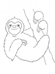 Sloth coloring page - picture 5