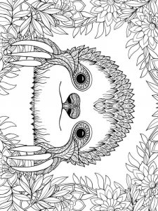 Sloth coloring page - picture 6