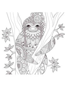 Sloth coloring page - picture 7