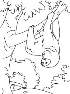 Sloth coloring page - picture 9