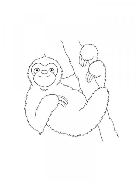 Sloth coloring pages