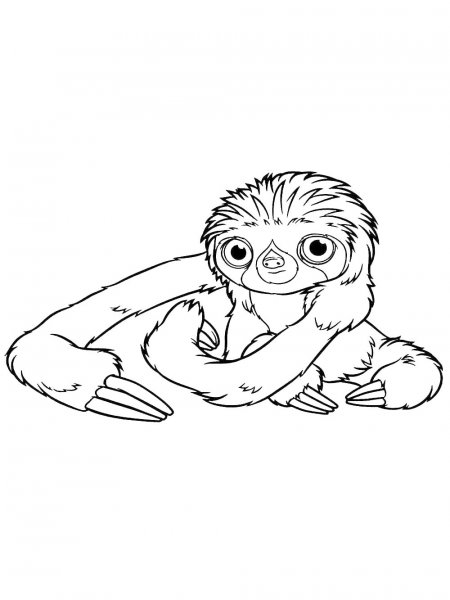 Sloth coloring pages