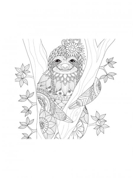 Sloth coloring pages