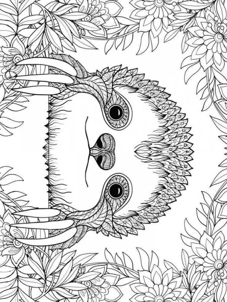 Sloth coloring pages