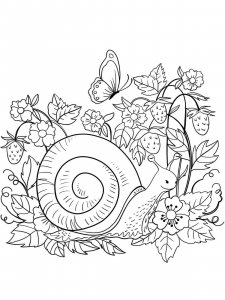 Snail coloring page - picture 1
