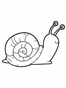 Snail coloring page - picture 2