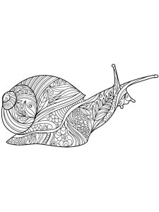 Snail coloring page - picture 23