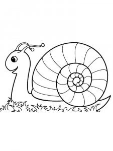 Snail coloring page - picture 25