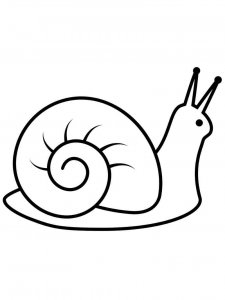 Snail coloring page - picture 29