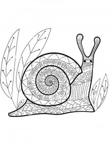 Snail coloring page - picture 30