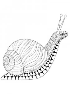 Snail coloring page - picture 32