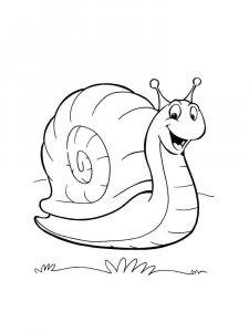 Snail coloring page - picture 35