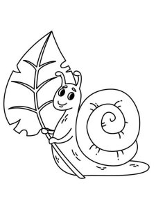 Snail coloring page - picture 4