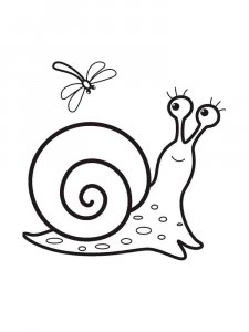 Snail coloring page - picture 43