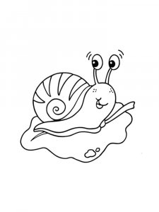 Snail coloring page - picture 45